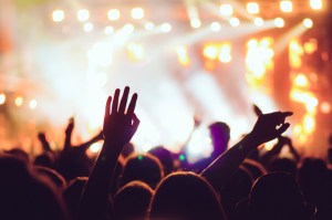 Concert crowd at live music festival