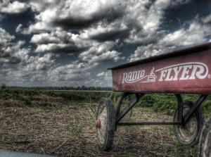 RADIO FLYER 1
